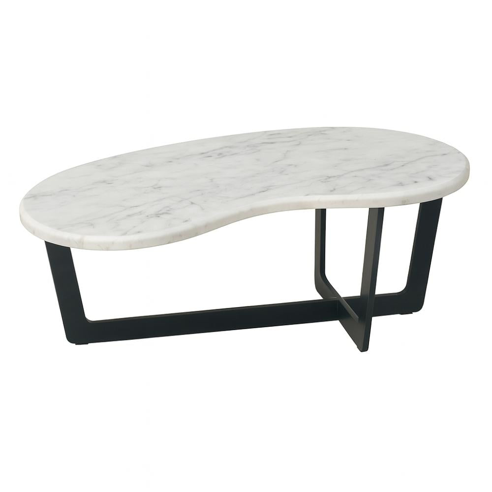 Stalen salononderstel zwart 100 bij 51 cm en hoogte 36,5 cm (koker 6 x 1 cm)